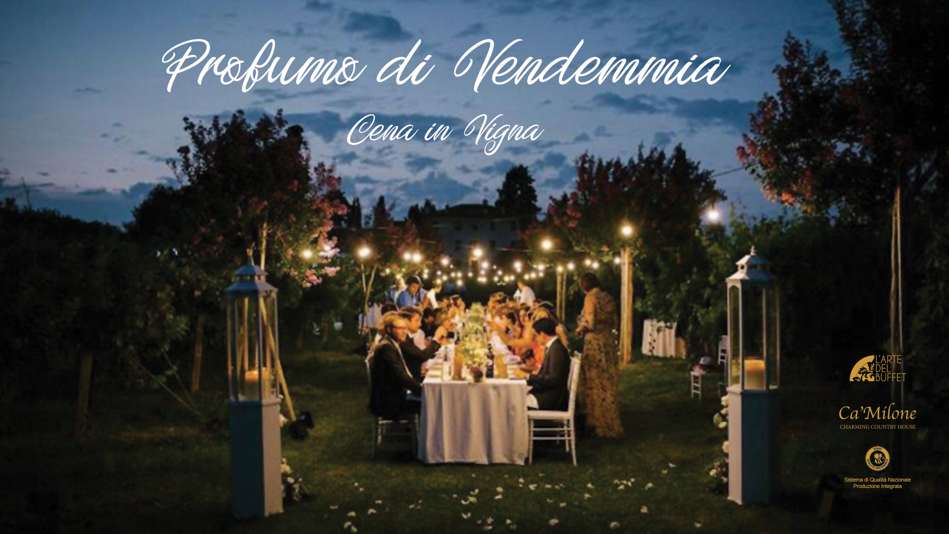 Cena in vigna catering e buffet
